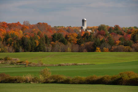 Fall colors in the Canadian countryside in the province of Quebecの写真素材