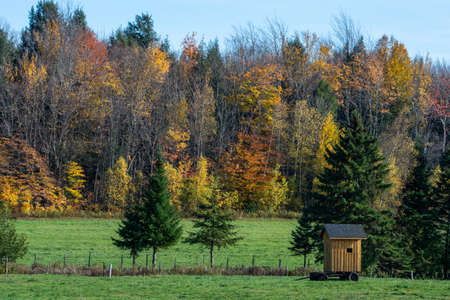 agriculture, beautiful, blue, building, canada, farm, field, grass, green, house, landmark, landscape, nature, outdoor, quebec,  rural, sky, summer, tourism, travel, view, countryside, Canada, harvestの写真素材