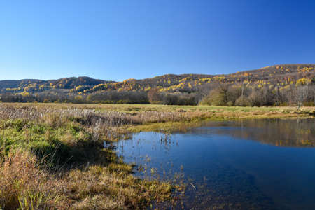 Fall colors in the Canadian forest with river in the province of Quebec
