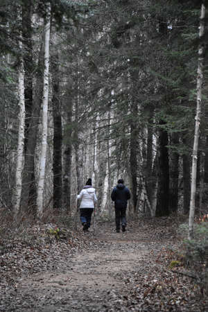 A walk in the Canadian wild forest in late fall.  Saint-Michel-des-Saints, QuÃ©bec. Canada, November 07 2021のeditorial素材