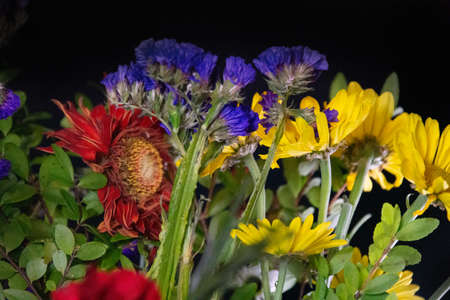 Pretty bouquet of flower alone in the dark, lost in the darknessの写真素材