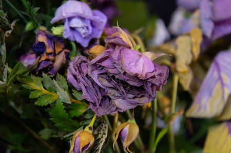 Pretty bouquet of flower alone in the dark, lost in the darknessの写真素材