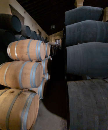 Visit to a beautiful vineyard in Andalusia near the city of JÃ©rez, Spain