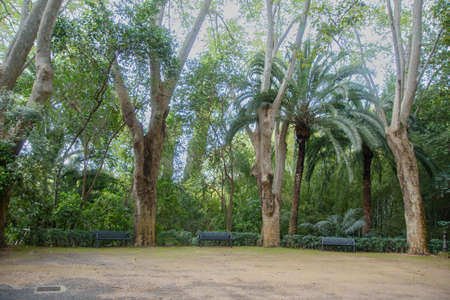 historical botanical garden of the Conception of Malagaの写真素材