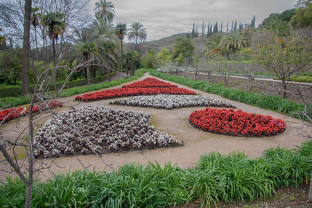 historical botanical garden of the Conception of Malagaの写真素材