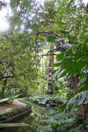 historical botanical garden of the Conception of Malagaの写真素材