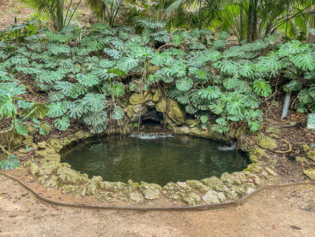 historical botanical garden of the Conception of Malagaの写真素材