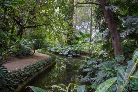 A walk in the beautiful historical botanical garden of the Conception of Malaga, Andalucia, Spain