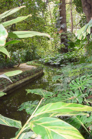 A walk in the beautiful historical botanical garden of the Conception of Malaga, Andalucia, Spainの写真素材