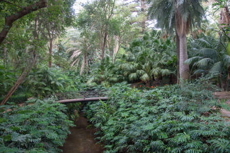 A walk in the beautiful historical botanical garden of the Conception of Malaga, Andalucia, Spainの写真素材