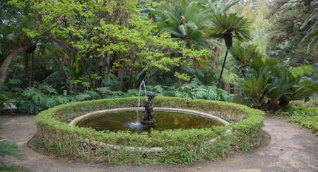 A walk in the beautiful historical botanical garden of the Conception of Malaga, Andalucia, Spainの写真素材