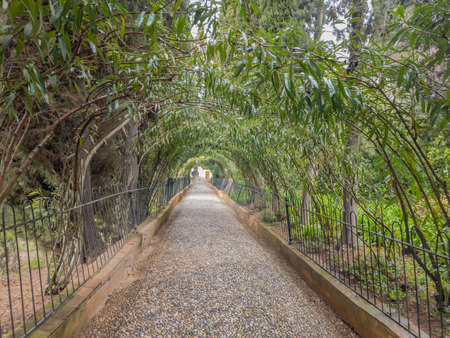 A walk on inside the magnificent Alhambra in Granada, Andalucia, Spainの写真素材
