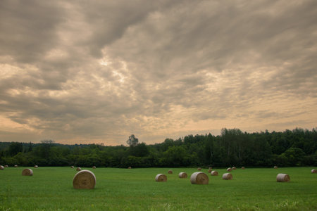 Huge hay bale in a field after July harvest in Quebec, Canadaの写真素材