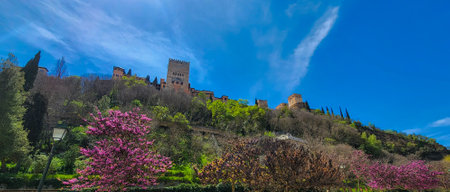 View of the Alhambra in Granada seen from the Albayzin districtのeditorial素材