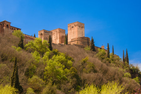 View of the Alhambra in Granada seen from the Albayzin districtのeditorial素材