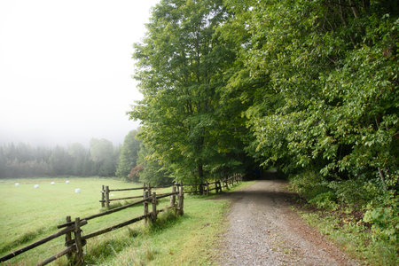 Small path under the woods in the Canadian countryside in Quebecの写真素材