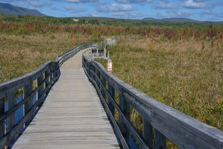 Beautiful  fall colors in the Canadian countryside at fall in the province of Quebecの写真素材