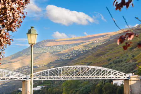The douro valley in Portugal near the town of Pinhaoの写真素材