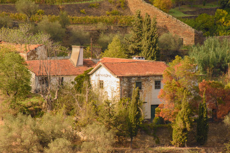 The douro valley in Portugal near the town of Pinhaoの写真素材