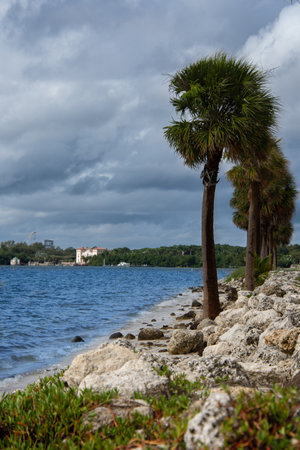 view of part of Key Biscayne bay near miami floridaの写真素材