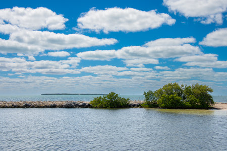 Aerial view of part of the island of Key Largo in southern Florida, United Statesの写真素材
