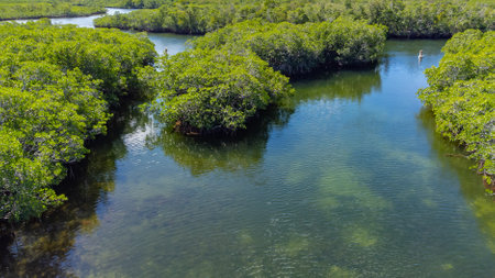 Aerial view of part of the island of Key Largo in southern Florida, United Statesの写真素材