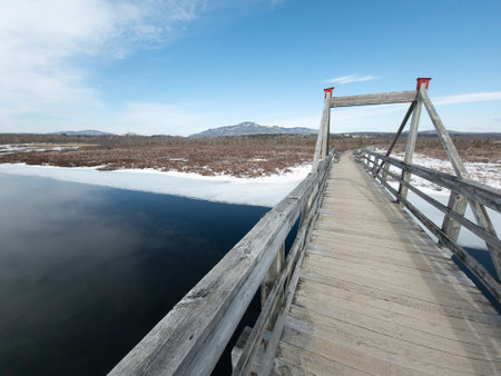 View of a small river with bridge in the Canadian forest in winterの写真素材