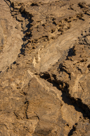 Sand texture from the flow of spring water near a lake in the Canadian forestの写真素材