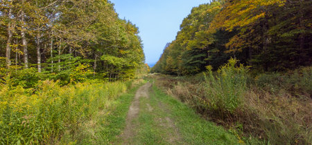 Fall color around Jay Peak tourist site in the United Statesの写真素材