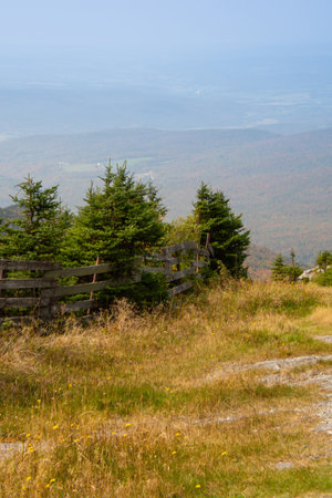 Fall color around Jay Peak tourist site in the United Statesの写真素材