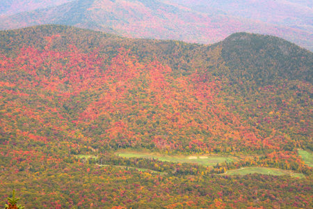 Fall color around Jay Peak tourist site in the United Statesの写真素材