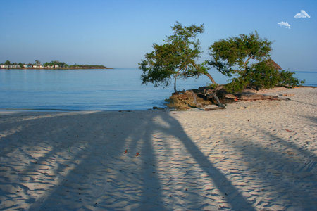 View of a pretty Caribbean beach under the warm southern sunの写真素材