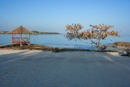 View of a pretty Caribbean beach under the warm southern sunの写真素材