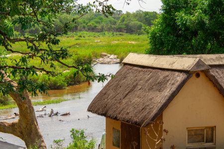 Pretty little river flowing through the savannah in South Africaの写真素材