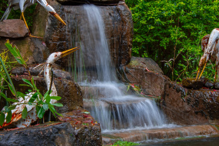 Stunning garden in an African savannah lodge, Hazyview, South Africaの写真素材