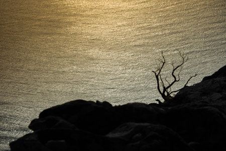 Landscape of Table Mountain at the end of the day. Cape Town, South Africa