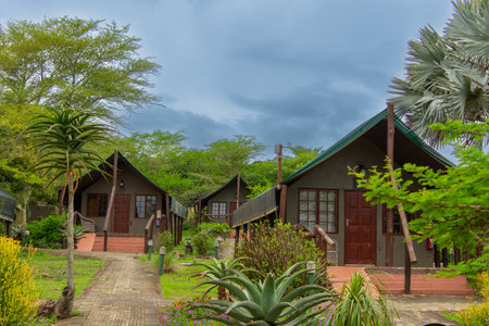 Tropical garden with bungalows and palm trees on the backgroundの写真素材