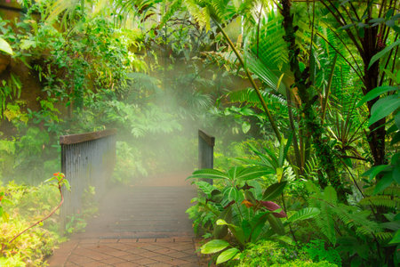 Lush vegetation in a pretty tropical garden in Florida in the United States