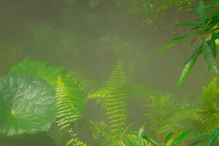 Lush vegetation in a pretty tropical garden in Florida in the United States