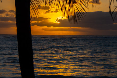 Superb sunrise on a pretty beach in Punta Cana in the Dominican Republicの写真素材