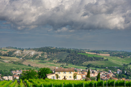 View of a pretty vineyard in the Emilia Romagna region of Italyの写真素材