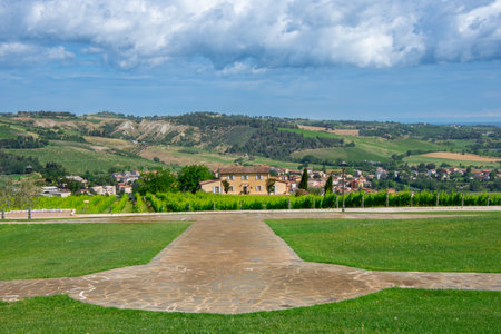 View of a pretty vineyard in the Emilia Romagna region of Italyの写真素材