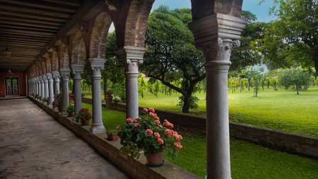 Pretty little vineyard in the heart of a small monastery in Venice, Italyの写真素材