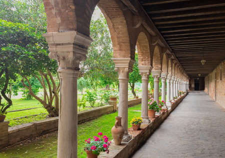Pretty little vineyard in the heart of a small monastery in Venice, Italyの写真素材