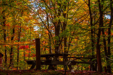 Magnificent autumn landscapes in the Canadian countryside in the province of Quebecの写真素材