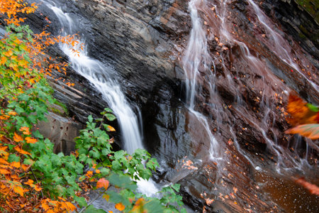 Magnificent autumn landscapes near a river in the Canadian forest in the province of Quebec