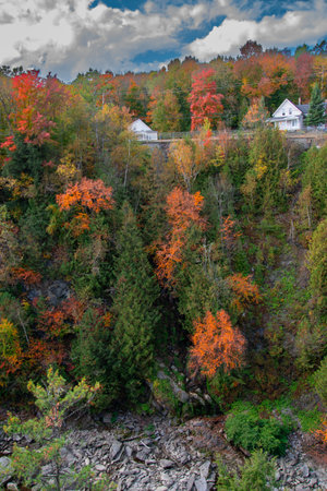 Magnificent autumn landscapes near a river in the Canadian forest in the province of Quebecの写真素材