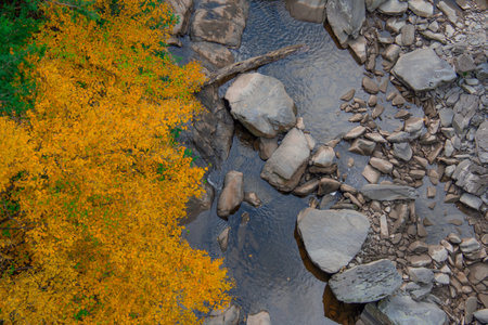 Magnificent autumn landscapes near a river in the Canadian forest in the province of Quebec