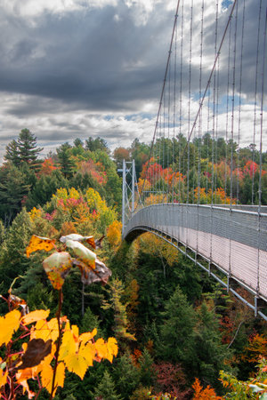 Bridge over a small river in the fall in the Canadian countrysideの写真素材