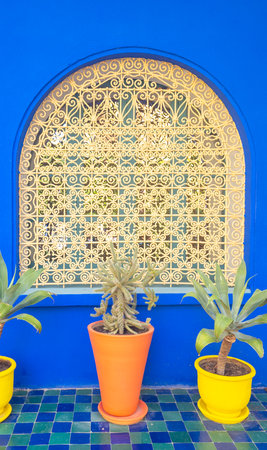 Majorelle garden, superb place in the heart of the city of Marrakech in Moroccoの写真素材